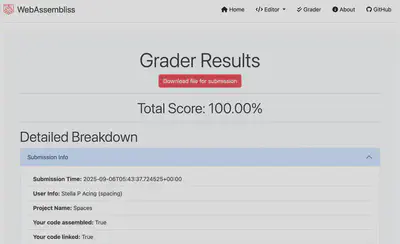 Figure 1: Grader results example.